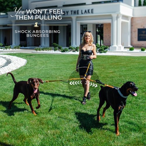 Premium Double Leash for Two Dogs, Medium & Large Breeds, Gold - Image 3