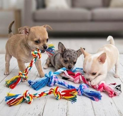 Mini Chew Rope Pack for Small Dogs – 4 Pack Puppy Rope Toys for Chihuahua, Pomeranian & Small Breeds – Tiny Paws Teething & Dental Chew Toys (Mix) - Image 3