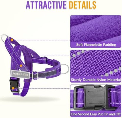 SlowTon No Pull Dog Harness and Leash Set - Heavy Duty, Soft Padded - Image 3
