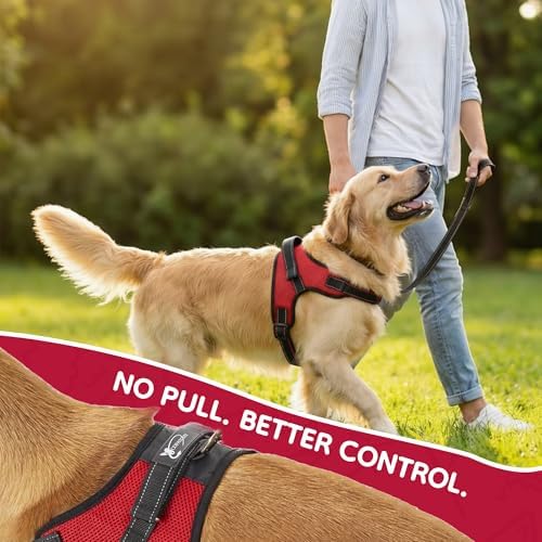 No Pull Reflective Adjustable Dog Harness with Handle- Comfortable Soft All Weather Mesh, Easy On Puppy Harness for Small Medium and Large Dogs (Red) X-Large - Image 6