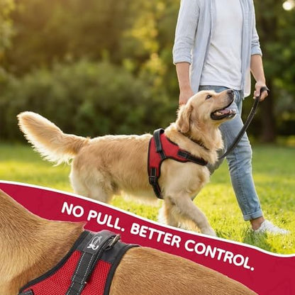 No Pull Reflective Adjustable Dog Harness with Handle- Comfortable Soft All Weather Mesh, Easy On Puppy Harness for Small Medium and Large Dogs (Red) X-Large - Image 6