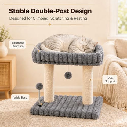 Small Cat Tree with Bed and Scratching Post for Indoor Cats｜Grey - Image 6