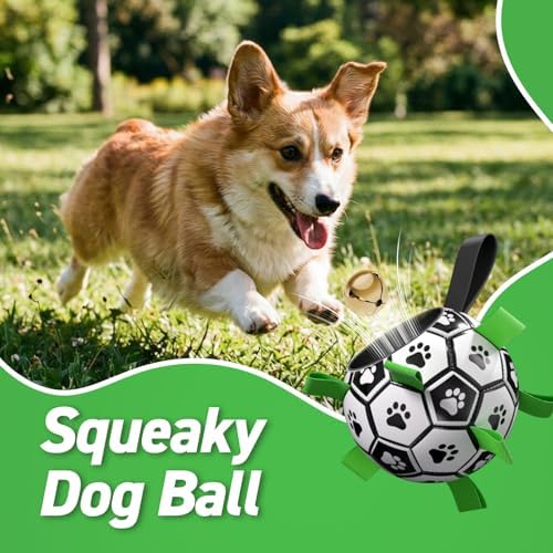 QDAN Dog Soccer Balls with Bell Inside, Squeaky Dog Balls, Birthday Gifts - Image 4