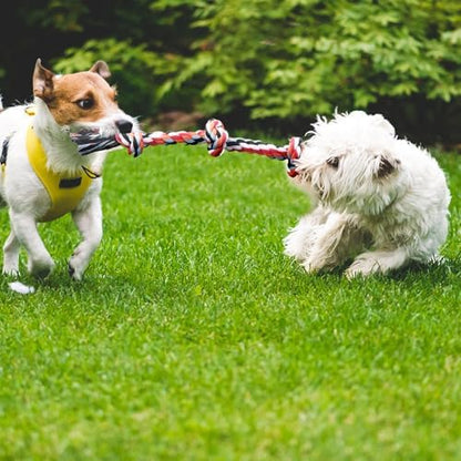 TwoEar Dog Rope Toy 4 Pack - Puppy Teething Toys for Small Breed - Image 6