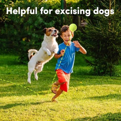 ZIYIZE Mini Tennis Balls, 6 Pack 2 inch Dog Tennis Balls, Easy Catching Pet Playing Ball for 2 inch Dog Ball Launcher - Image 6