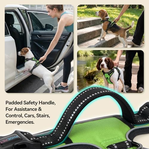 PHOEPET No Pull Dog Harnesses for Small Puppies Reflective Adjustable - Image 4