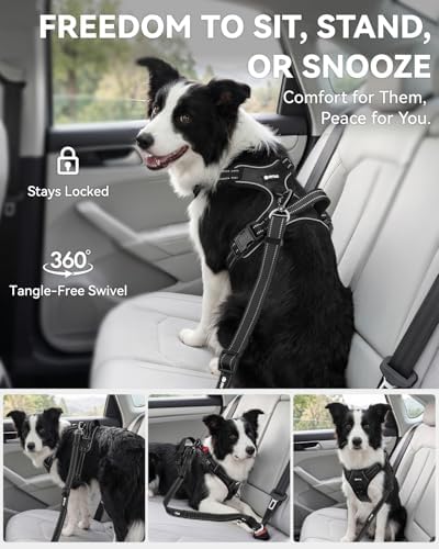 Joytale 3-in-1 Bungee Dog Seat Belt for Car, Medium and Large Dogs, Black - Image 5