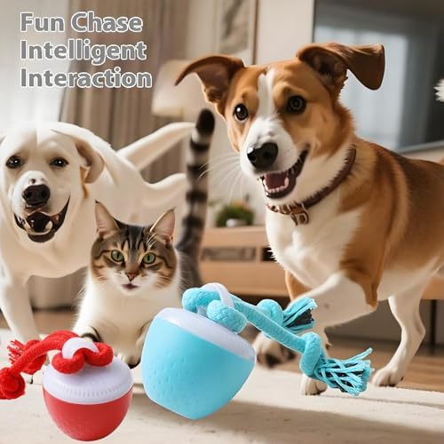 Interactive Dog Ball Toy with Birdsong & Rope, Automatic Moving Dog Toy - Image 6