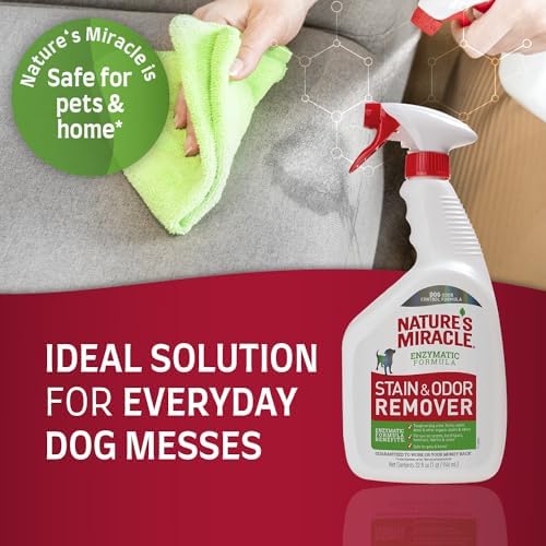 Nature’s Miracle Stain and Odor Remover Dog, 32 Ounces, Everyday Mess Enzymatic Odor Control Formula (Pack of 2) - Image 3