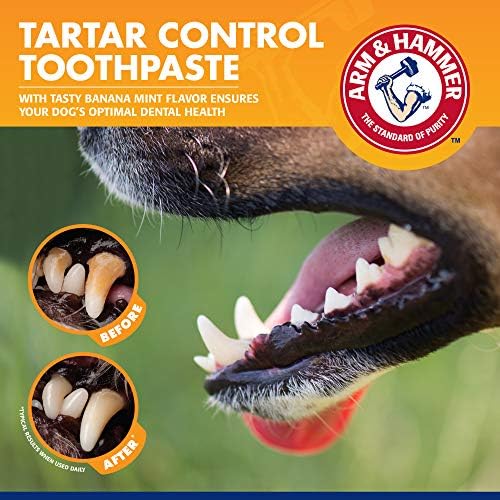 Arm & Hammer Tartar Control Dog Dental Kit, Banana Mint, 3-Piece - Image 4
