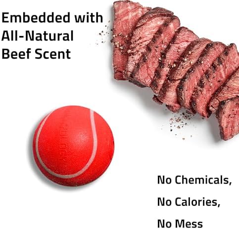 Playology Squeaky Chew Ball Dog Toy - Jumbo, Beef Scent - Image 4