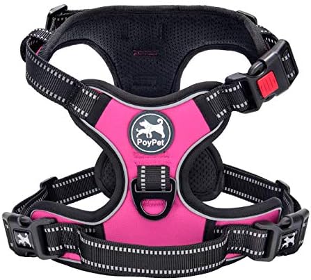 PoyPet No Pull Dog Harness Large with Front Clip & Neck Release Buckle by PoyPet