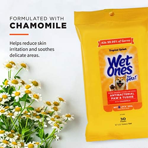 Wet Ones for Pets Paw and Tushie Dog Wipes, Tropical Splash, 30 Ct, 8-Pack - Image 3