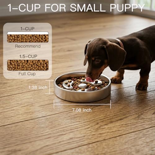 Slow Feeder Dog Bowls, 1Cup for Small Puppy, 2Pack - Image 4