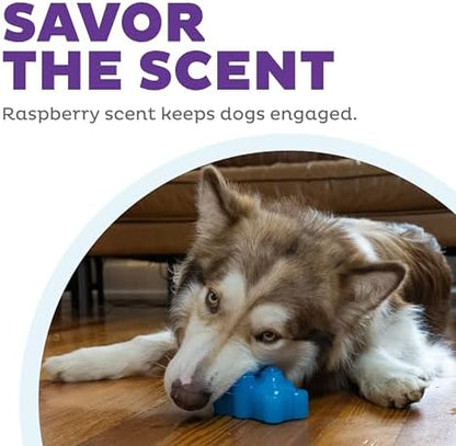 Outward Hound Gummiez Bear Dog Toy & Treat Stuffer, 4.7″ x 3″ Blue Raspberry-Scent Interactive Chew for Dogs, Promote Healthy Teeth, Gums & Mental Enrichment, Reduce Boredom & Support Dental Health - Image 5