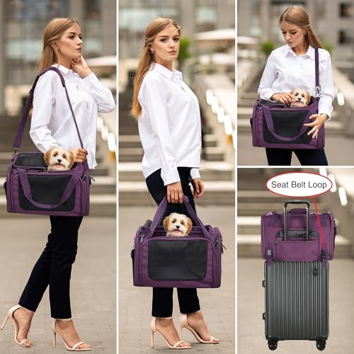 EliteField Deluxe Soft Pet Carrier for Cats and Dogs (3-Year Warranty) - Image 3