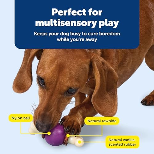 PetSafe Busy Buddy Bouncy Bone Treat Holding Dog Chew Toy, Small - Image 4