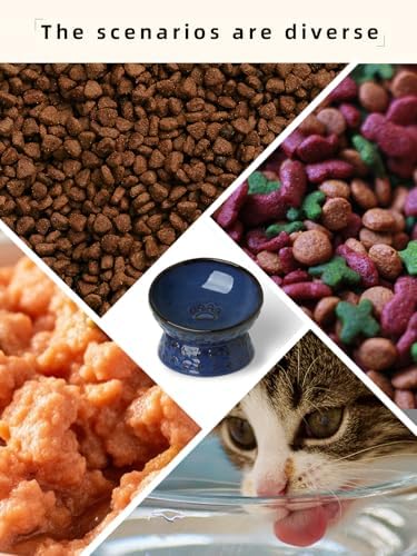 Ceramic Cat Food Bowl, 15°Tilted Raised Cat Food Bowl 5oz (Vintage Blue) - Image 5