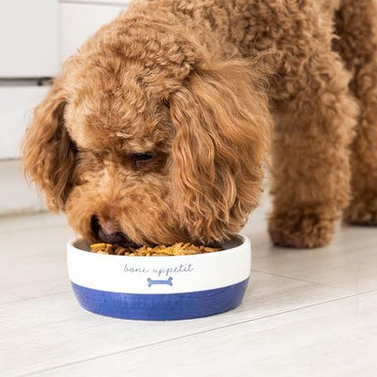 Pearhead Ceramic Bone Appétit Dog Bowl - Blue & White - Image 6