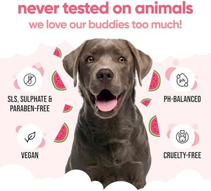 Watermelon Dog Shampoo by Buddycare | with Aloe Vera and Pro Vitamin B5 (50.72oz) - Image 5