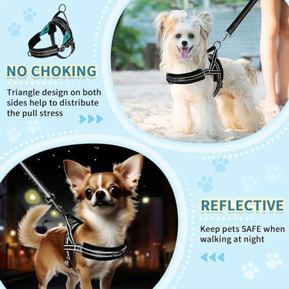 SlowTon No Pull Small Dog Harness and Leash Set with Front Clip - Image 3