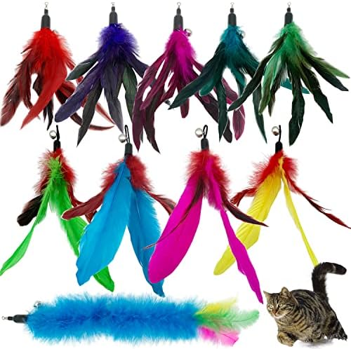 CATENESS Cat Feather Toys Refills, 10 Pieces Cat Wand Replacement Feathers Toy for Indoor Cats by CATENESS