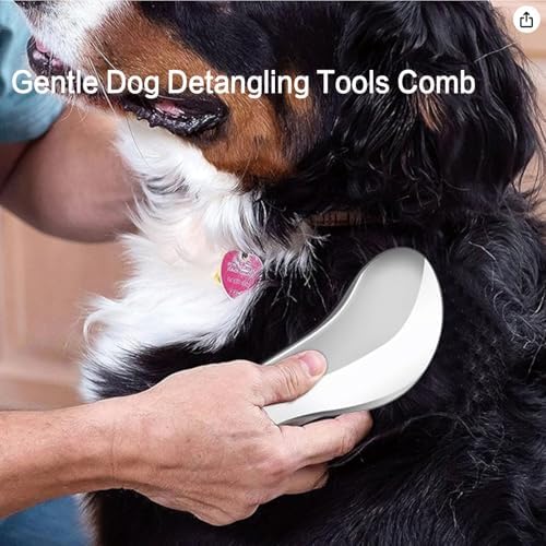 YOFANG 2PCS Slicker Brush for Dogs & Pet Comb,Professional Dog Grooming Brush (Goldendoodles,Poodles,Labradoodles) with Round Pins to Effectively Remove Tangles, Knots and Mats Silvery - Image 2
