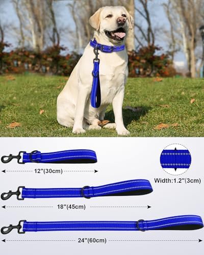 Joytale Short Dog Leash for Close Control & Training, 18", Royal Blue - Image 2