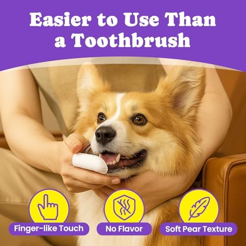 No-Rinse Dog Dental Care Wipes, Cat & Dog tooth brushing kit, Dog Wipes for Pet & Cat Teeth Cleaning, Dog toothbrush Finger Dental Wipes to Remove Plaque & Tartar, Disposable Dog Wipes - 50 Count - Image 3