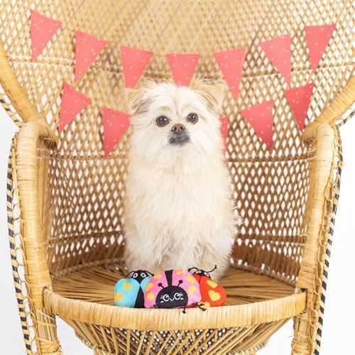 Fringe Studio Plush Dog Toy, Buggy for You, Small 3 Piece Set, Pet Shop Collection (662028) - Image 3