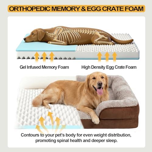 Orthopedic Dog Beds Large Sized Dog, Memory Foam Dog Bed Couch, 36"L - Image 4