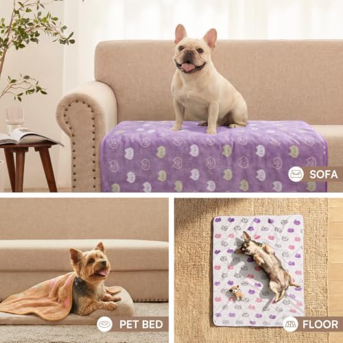 Luciphia 3 Pack Cute Cat Blankets Cozy Small Throw for Pet Puppy,30"x20" - Image 6