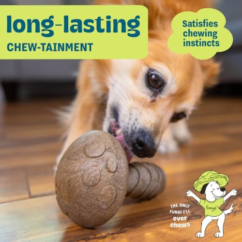 Dogwood Mushroom Dog Chew Toy – Real-Wood Blend, Peanut Butter Scented, Moderate Chewers, Medium, 4.8" x 3.4" x 3.4" - Image 2