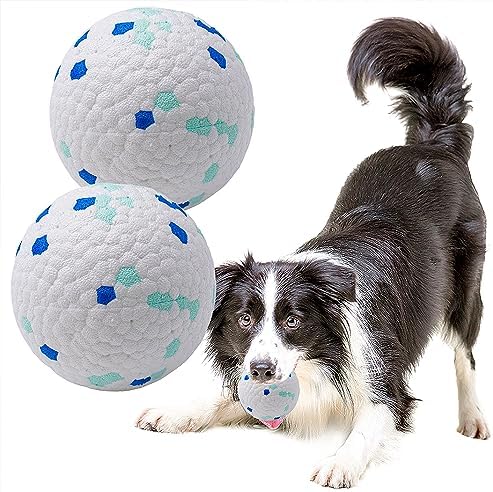 Dog Balls Toys for Aggressive Chewers (2 PCS) by LIEVUIKEN