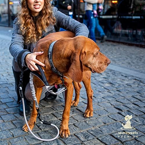 SparklyPets - Heavy Duty Bungee Rope Leash for Large and Medium Dogs - No Pull, Shock Absorber Long Dog Training Lead - No Slip Reflective Line for Outside (5.5 Ft Bungee Leash) - Image 2