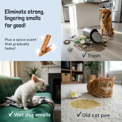 Sunny & Honey Pet Stain and Odor Remover Spray for Carpets, 32floz Spice - Image 4