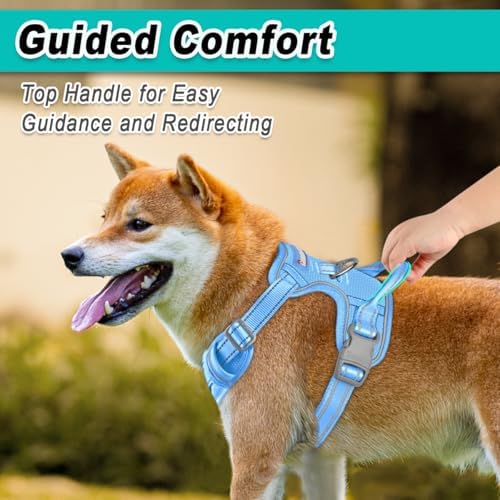 BARKBAY Dog Harness for Large Dog No Pull Mesh 2 Clips Dog Vest - Image 4