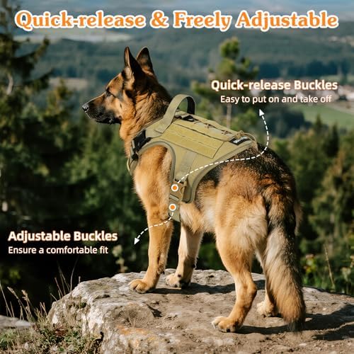 VavoPaw Heavy Duty Tactical Dog Harness for Medium Dog, No Pull Adjustable - Image 4