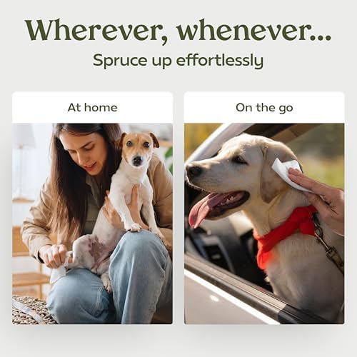 PAWFUME Dog Wipes, Unscented Pet Wipes, 1 Pack - Image 5