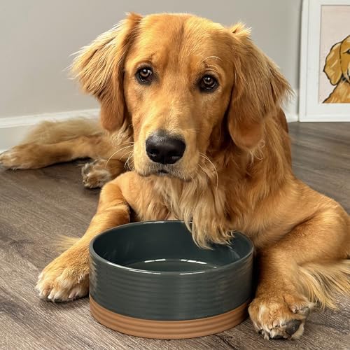 Mora Ceramic Pet Bowl Size Medium - Food/Water Dish for Large Puppies, Cats, Retrievers, Medium Sized Dogs, ect. 28oz or 4 Cups - Basic Bowls for Your Dog or Cat, Mix and Match for a Set - Charcoal - Image 6