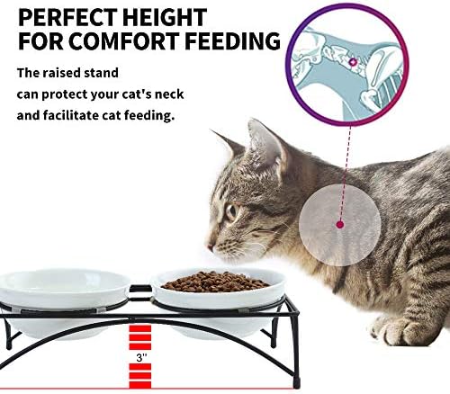 FOREYY Elevated Cat Bowls with 2 Ceramic & 2 Stainless Steel Bowls, Raised Cat Food & Water Dishes with Iron Stand, Porcelain Pet Dishes for Cats & Small Dogs, 16 Ounces, Dishwasher Safe (White) - Image 2