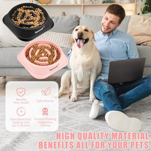 2 Pack Slow Feeder Dog Bowls for Medium Dogs & Cats - Image 5