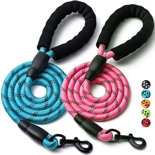2 Pack Dog Leash, Heavy Duty Nylon Rope Pet Leashes(5FT-1/2,Blue/Pink) by BOOMIBOO
