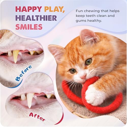 Jozy Cat Chew Rope - 4Pcs Cat Chew Toy with Refillable Natural Catnip - Interactive Kitten Teething Toys for Indoor Kittens - Bite Resistant Cotton Chew Rope Toys for All Breeds (19.6 Inches) - Image 5