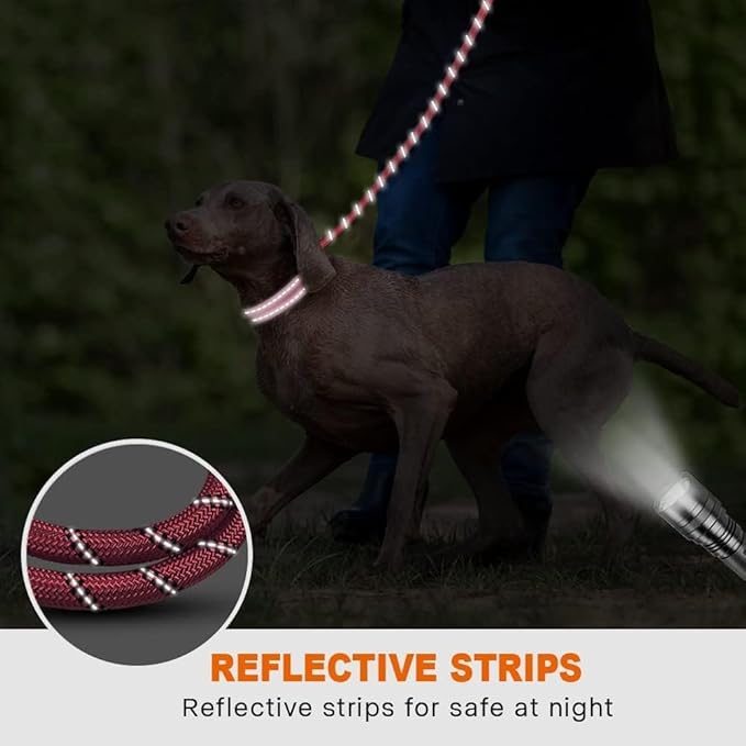 Taglory Rope Dog Leash 5 FT with Comfortable Padded Handle, Highly Reflective Threads Leash and Anti-Tangle Clip for Walking Medium Large Dogs, 1/2 inch, Pink