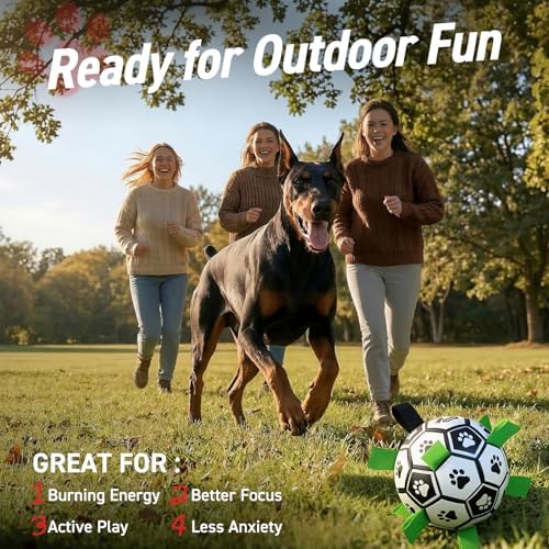 QDAN 10 Inch Gaint Dog Soccer Ball with Straps, Durable Large Dogs Balls - Image 3
