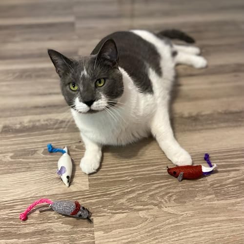 SPOT Burlap Mice Cat Toys, Interactive & Durable Catnip Toys for Indoor Cats & Kittens, Perfect for Hunting & Play, 3-Inch, Assorted Colors, 3 Pieces - Image 3