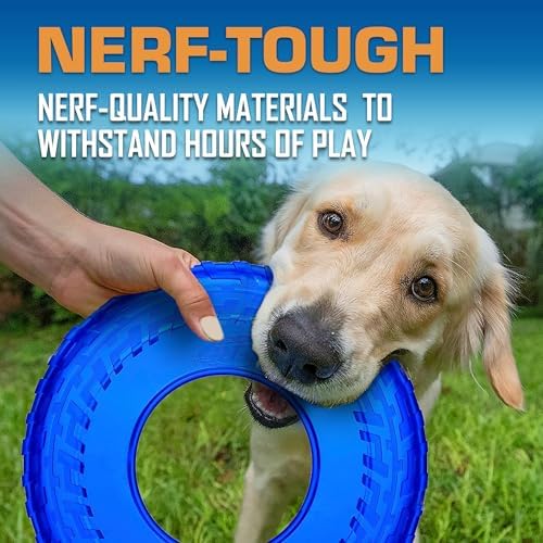 Nerf Dog Tire Flyer Dog Toy Gift Set, 10 Inch Flying Disc Dog Fetch Toys, Rubber Dog Toy for Medium Dogs and Large Dogs, Red, Translucent Green and Translucent Blue, 3 Count - Image 4