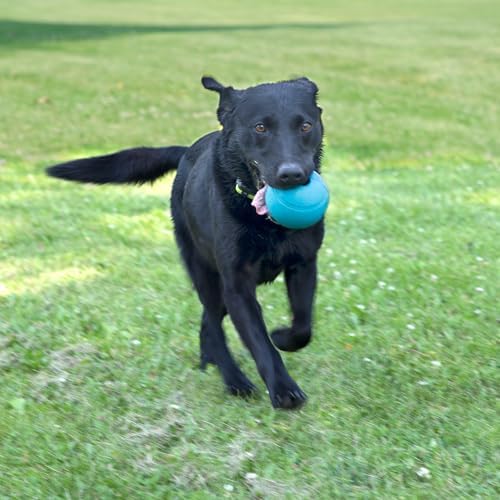 Chew King Fetch Balls Extremely Durable Natural Rubber Toy 4 inch, 2 Pack (CM-10031-CS01) - Image 2