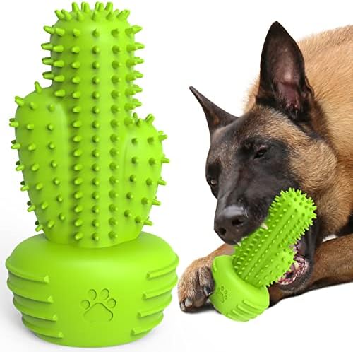 Pamlulu Dog Chew Toys & Teeth Cleaning Brush - Dental for Small, Medium & Large Dogs, Rubber Squeaky Toys for Aggressive Chewers, Cactus Tough Toys by Home